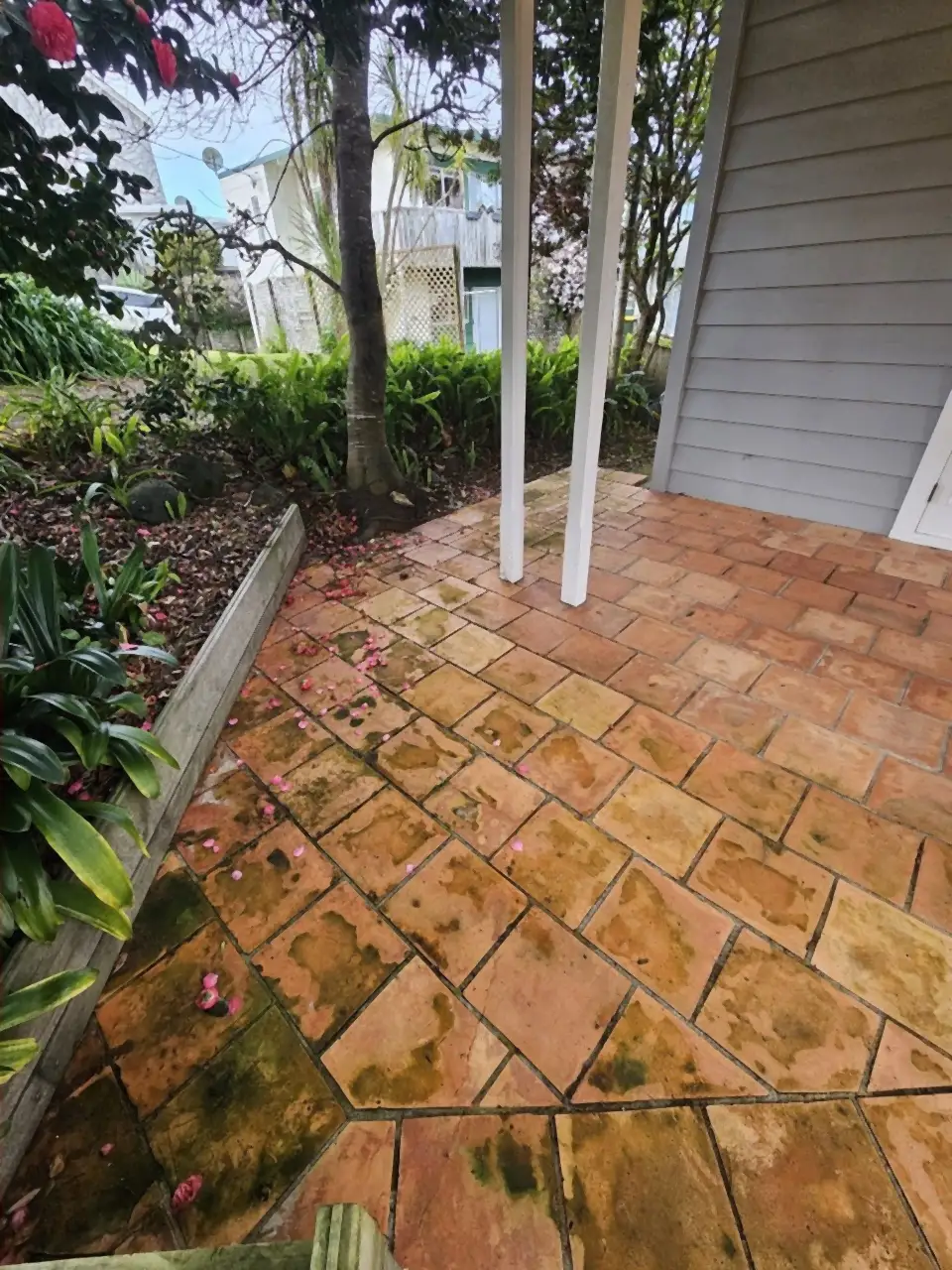 Before: Terracotta pavers under a pergola, patchy with green and black algae