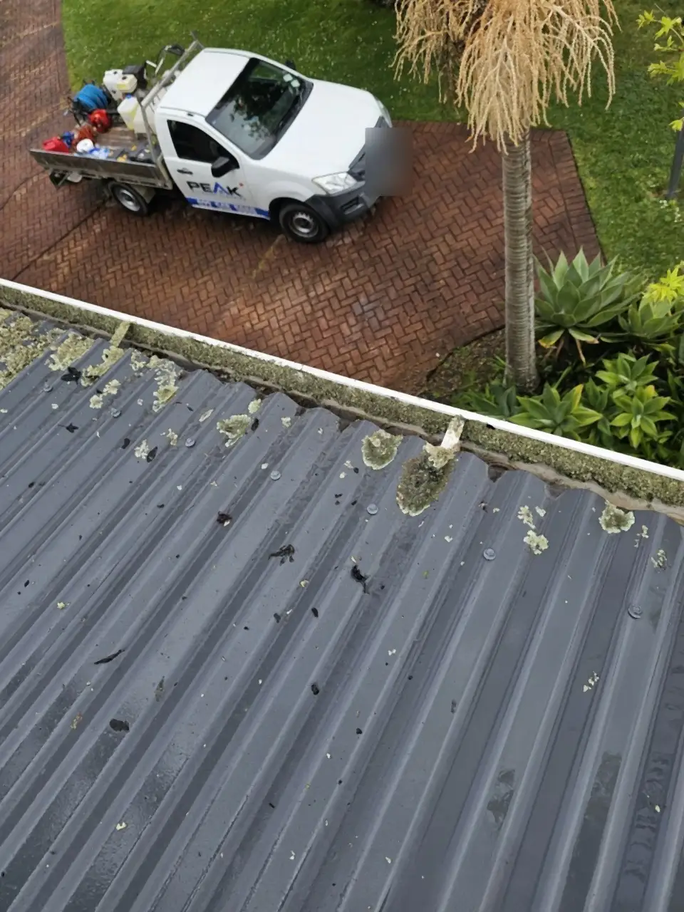 Before: The edge of an iron roof and its gutter, patchy with lichen, Peak's ute parked below