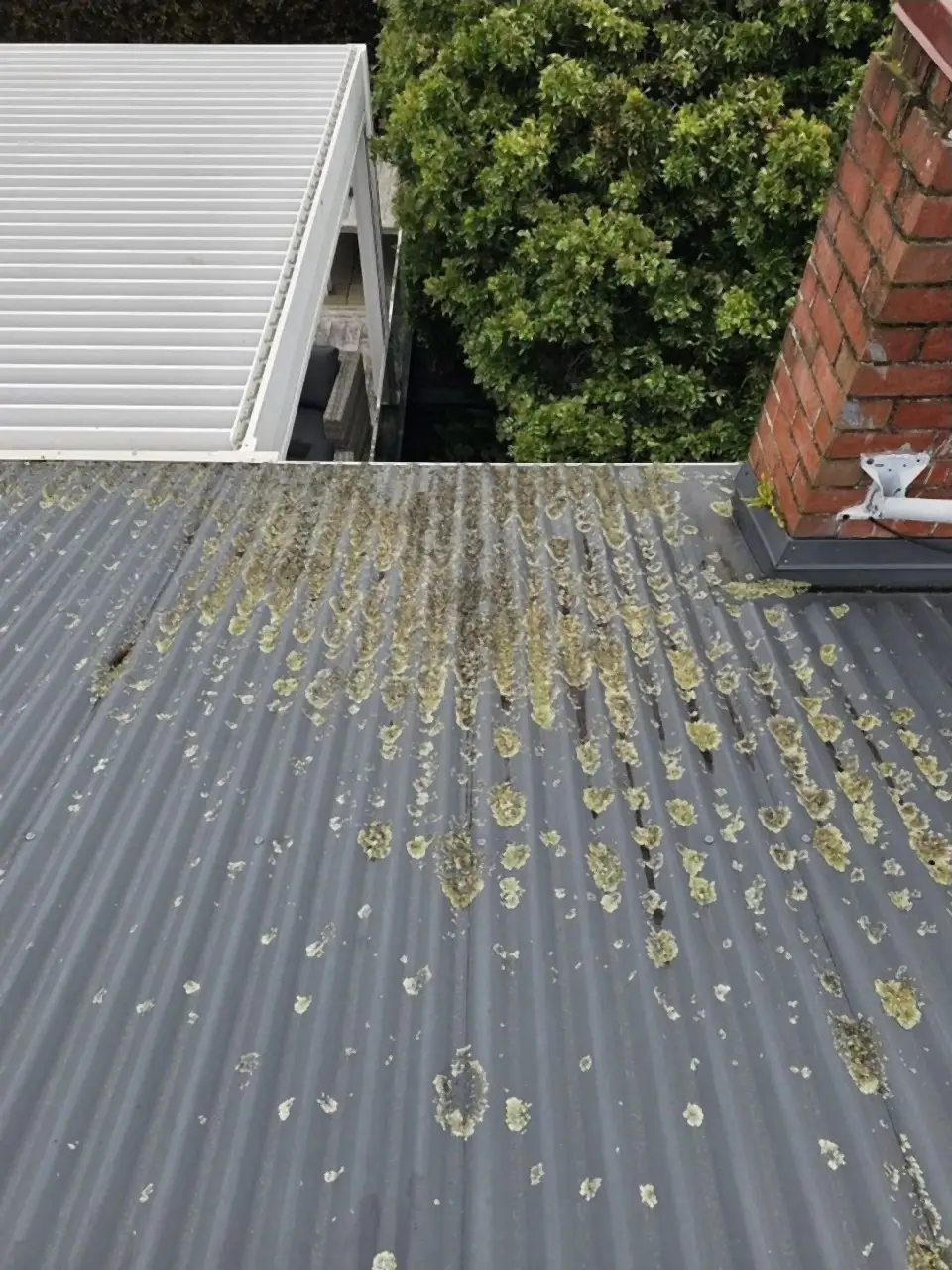 Before: A grey iron roof spotted all over with yellow lichen, beside a brick chimney